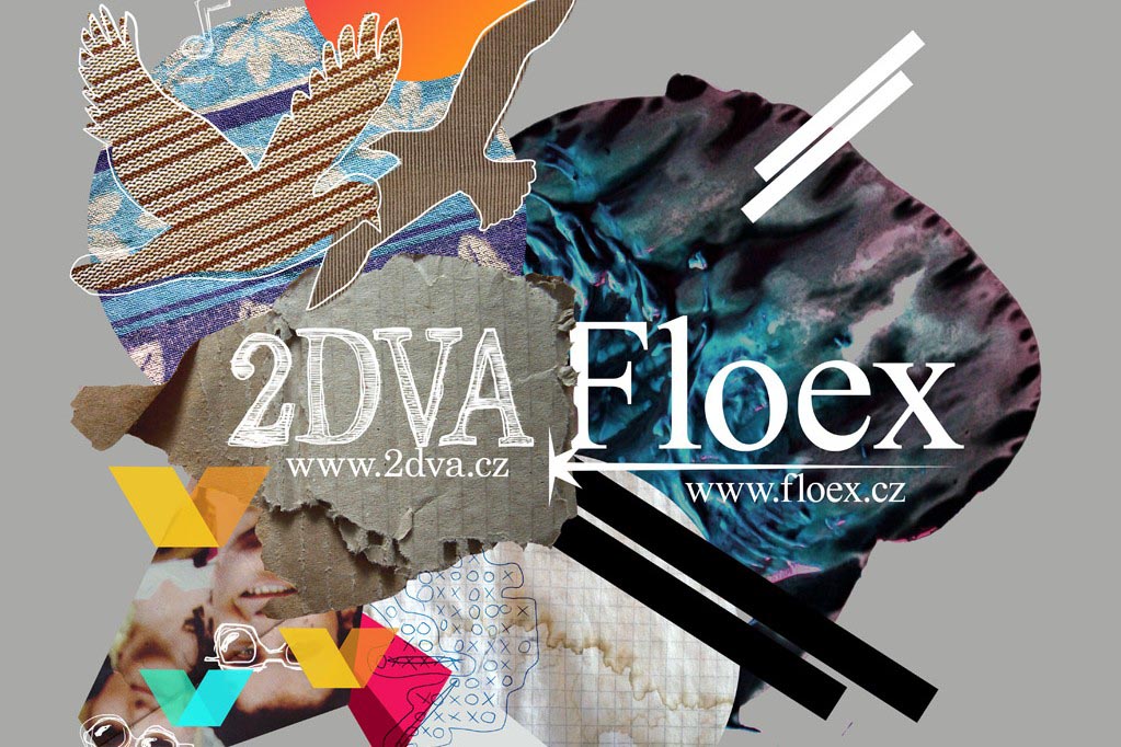 dva_floex_prev6