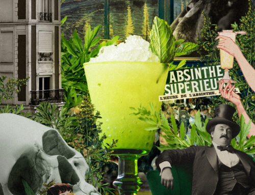 Drinkology – Absint Frape