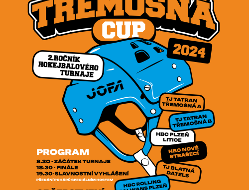 Třemošná Cup