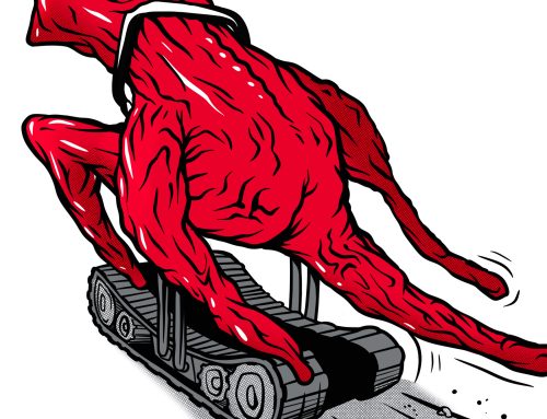 Czech Virus Gym: Cardio machines